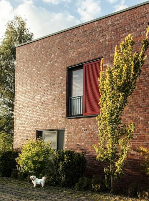 Schickes Wohnstudio Mit Garten Am Aasee Ibbenbüren Extérieur photo